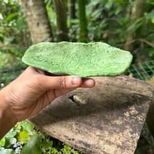 Trinket Dish